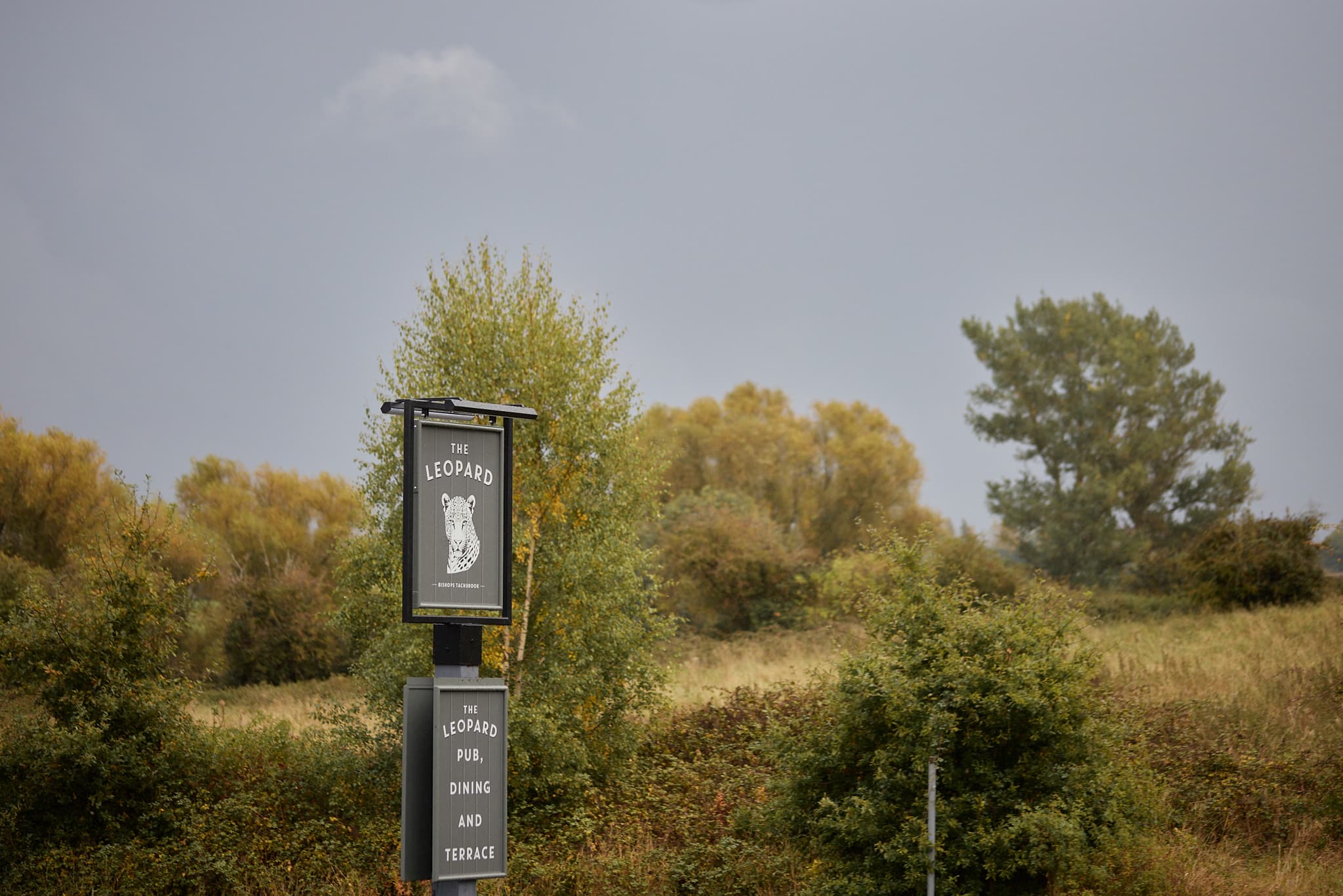 The Leopard - Bishop's Tachbrook